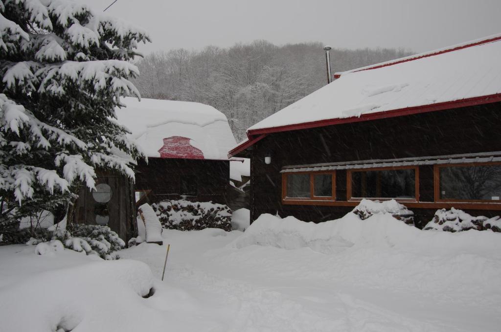 Goryo Guesthouse Furano Ngoại thất bức ảnh